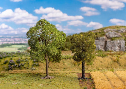 TIGLIO E ALBERO SELVATICO H0 95-130 mm