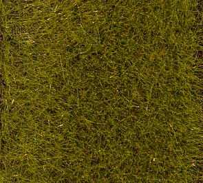 ERBA ALTA 6 mm VERDE CHIARO