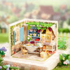 SUPERSTORE MIDSUMMER DREAM YARD