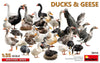 DUCK & GEESE 1/35
