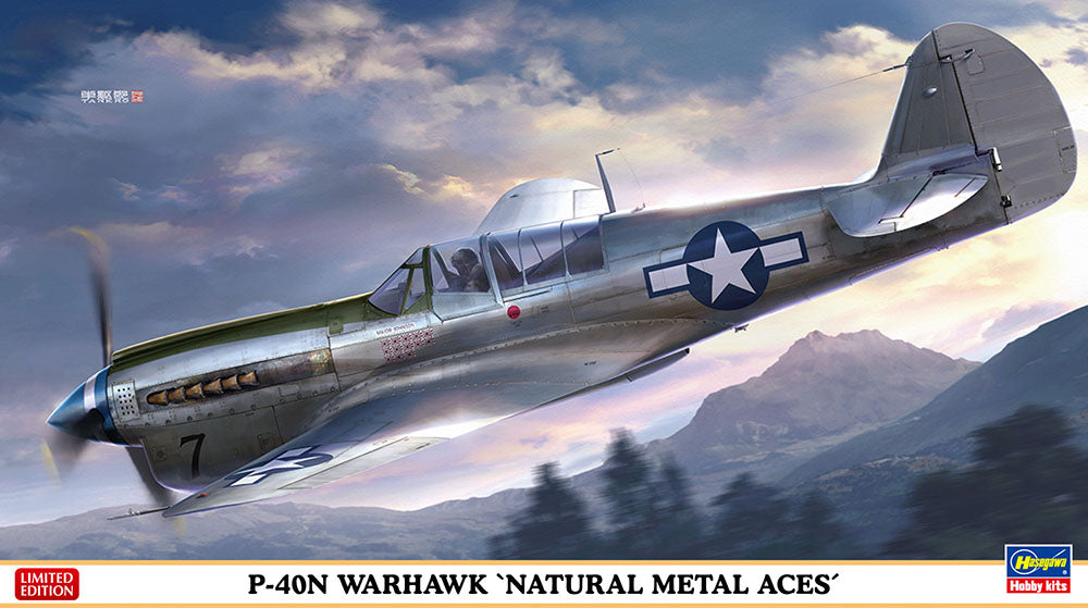 P-40N WARHAWK NATURAL METAL ACES 1/48 LUNGH 211.5 mm