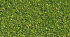 POLVERE VERDE CHIARO 42 g