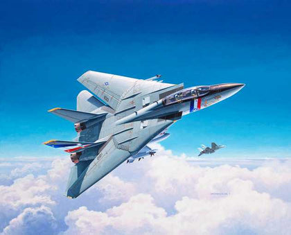 F-14D SUPER TOMCAT 1/100 LUNGH 19.1 cm