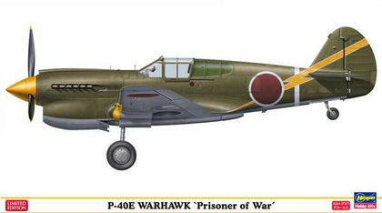 P-40E WARHAWK PRISONER OF WAR 1/48
