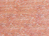 CARTONCINO SCALA N 25X12.5 cm