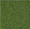 ERBETTA FIOCCATA VERDE CHIARA