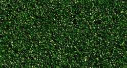 POLVERE VERDE SCURO 42 g